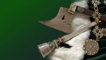 Insygmia rektorskie na zielonym tle